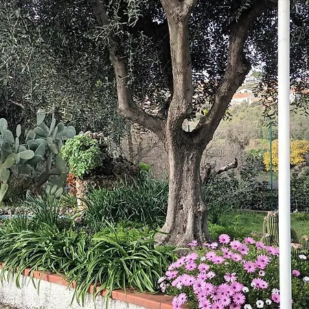 Cristina Holiday home