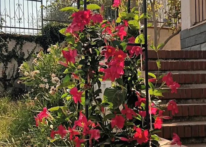 Cristina 펜션 Boissano